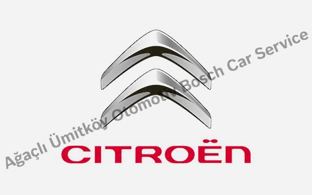 Ankara Citroen Servisi