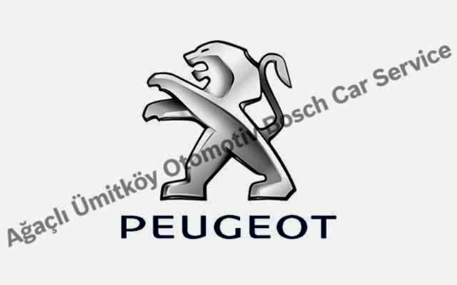 Ankara Peugeot Servisi