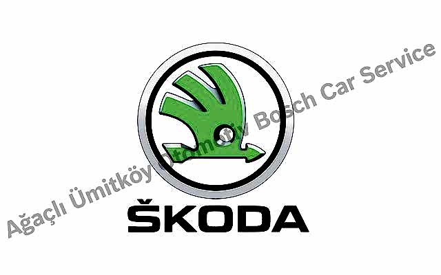 Ankara Skoda Servisi